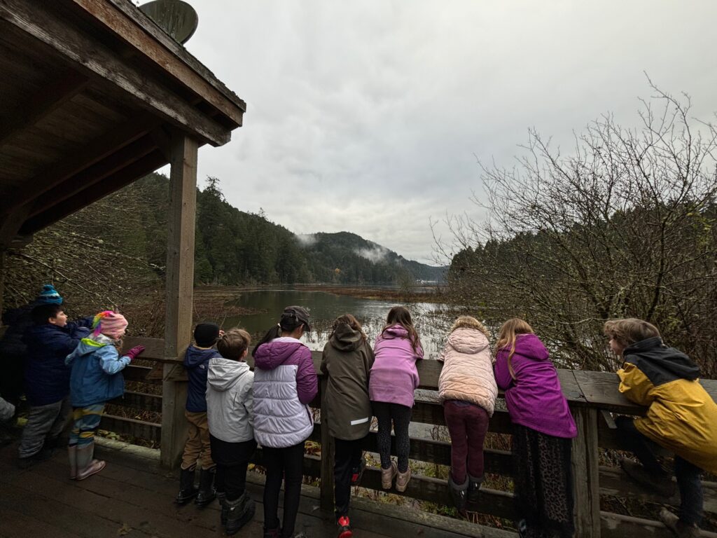 Students looking out over the estuary during the Goldstream field trip.