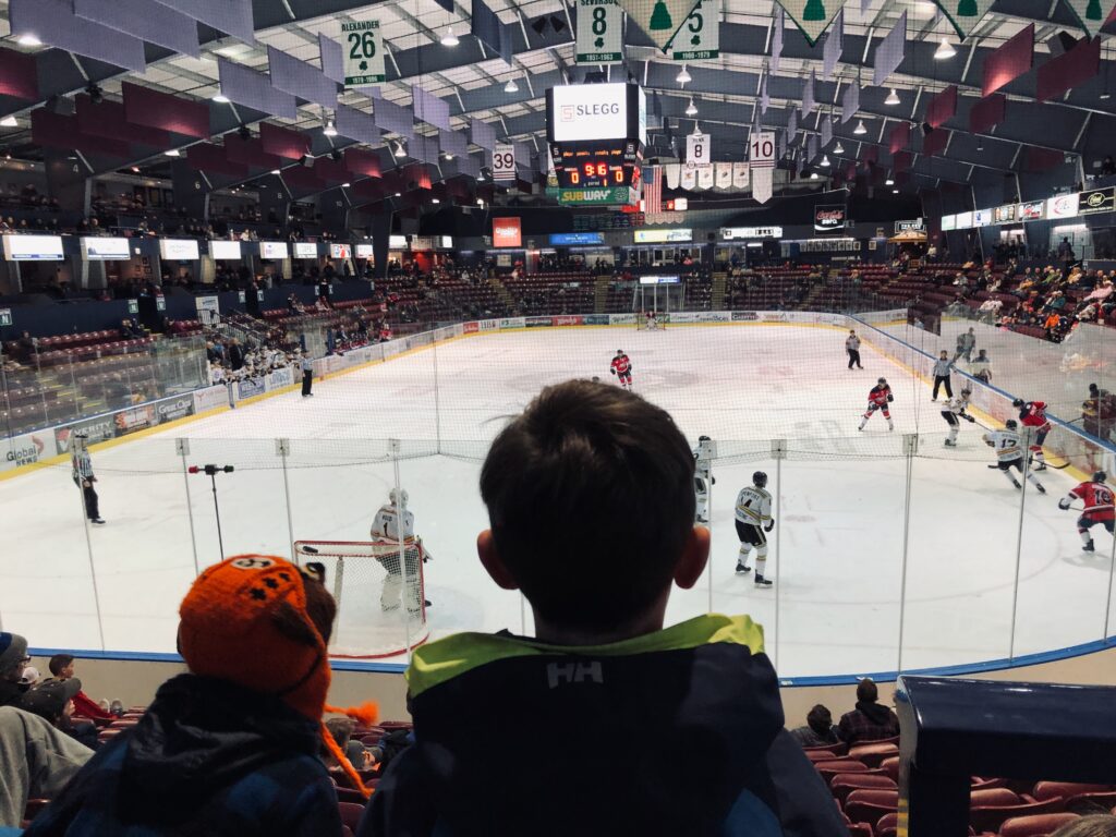 Two young hockey fans watching a game from the stands.